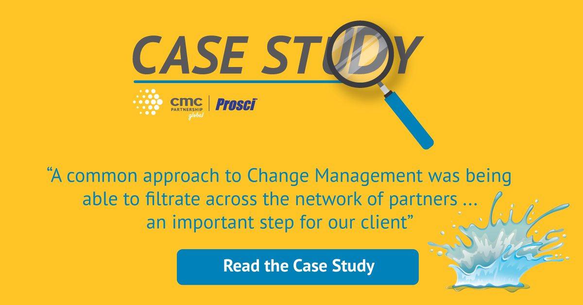 Case Study: Building capacity for absorbing change more effectively