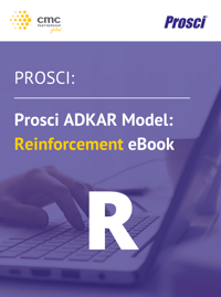 Reinforcement eBook Front Page