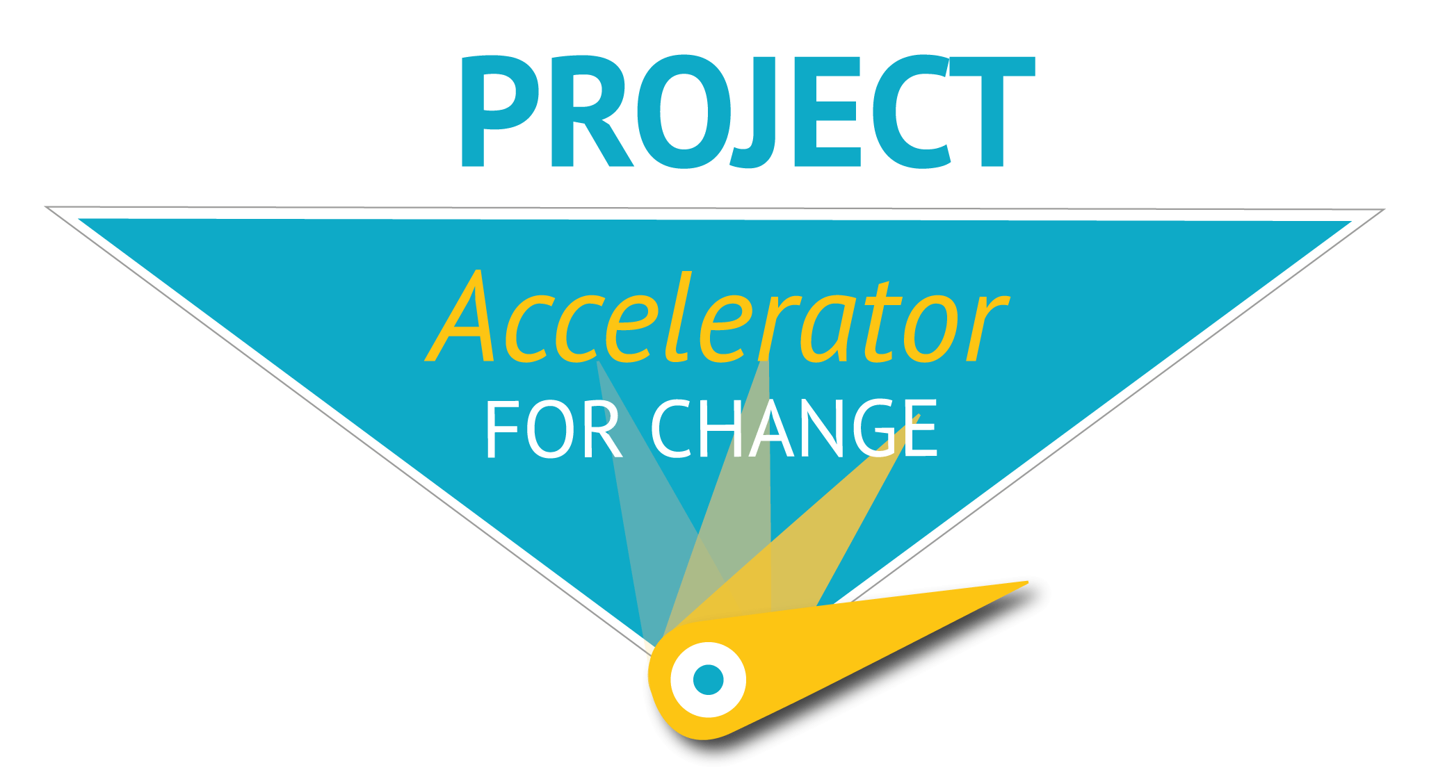 large-project-accelerator-1